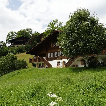 Unter Dem Stein Appartamento Grindelwald