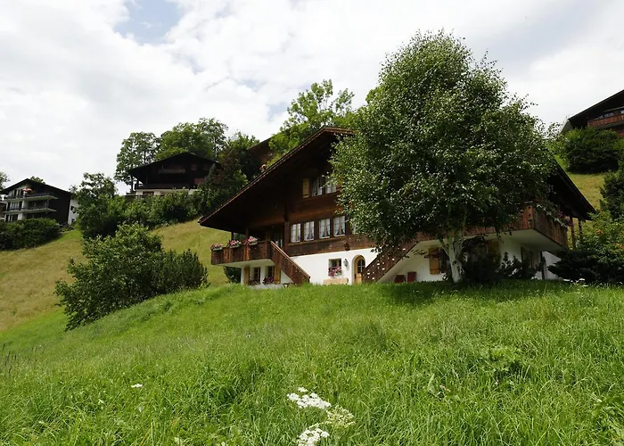 Unter Dem Stein דירה גרינדלוולד